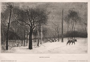 Vinter af Felix Bracquemond