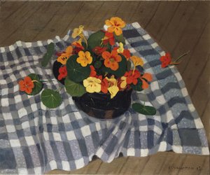 Skål med Nasturtiums af Felix Edouard Vallotton