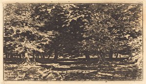 Skov af Felix Hilaire Buhot