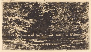 Skov af Felix Hilaire Buhot