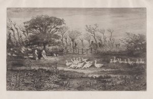 Gæs, 1860-98. af Felix Hilaire Buhot