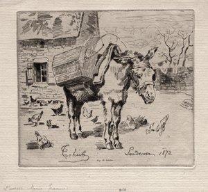 Muldyret, Marie-Jeanne af Felix Hilaire Buhot