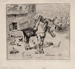Muldyret, Marie-Jeanne, 1872. af Felix Hilaire Buhot