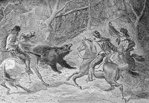 Roping a Grizzly, illustration fra 