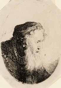 Gammel mand med bølgende skæg af Ferdinand Bol