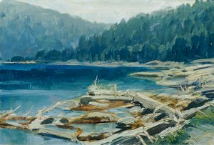 Šumava (fra porteføljen "16 udsigter over tjekkiske landskaber 