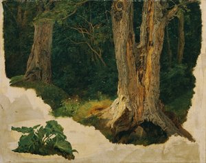træ undersøgelse af Ferdinand Georg Waldmuller