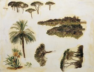 Træstudier fra Rom af Ferdinand Georg Waldmuller