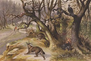 Februar (farvelitografi)