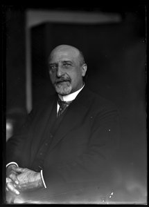 Billede af Karl Seitz (1869-1950) af Ferdinand Schmutzer