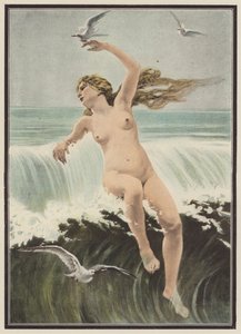 Bølger og måger (farve litho) af Ferdinand Victor Eugene (after) Delacroix
