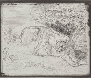 En fanget tiger, 1854. af Ferdinand Victor Eugene Delacroix