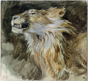 The Head of a Lion (akvarel på papir)