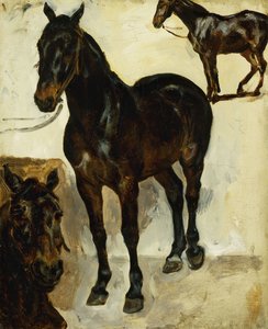 Tre undersøgelser af heste; Tre studier af heste, c.1823 af Ferdinand Victor Eugene Delacroix
