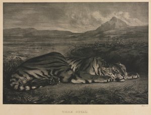 Royal Tiger, 1829. af Ferdinand Victor Eugene Delacroix