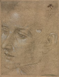 Head of a Young Man, anden halvdel af 1400-tallet. af Filippino Lippi