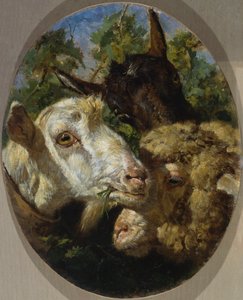 Dyrehoveder af Filippo Palizzi