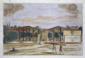 A Covered Orchard, from Hesperides af Giovanni Battista Ferrari, graveret af Camillo Congio (fl.1630), udgivet 1646 (håndfarvet gravering) af Filippo after Gagliardi