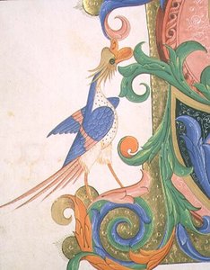 Missal 515 f.20v Fantastisk fugl, udsmykningsdetalje af en historisk initial fra en korbog udført før 1449 (vellum)