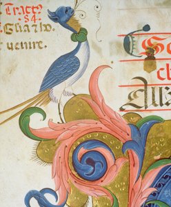 Missal 515 f.28v Fantastisk fugl med menneskehoved stående på hjørnet af en historisk initial, detalje fra en korbog udført før 1449 vellumdetalje af 56724