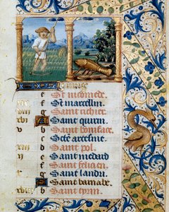 Kalender, juni, en bondeklipning og kræftens tegn. Side taget fra en timebog ms. 47, oplyst af den flamske skole. Badia de 