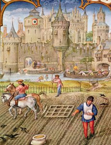 Fol.10v Oktober måned: Såning, fra Breviarium Grimani, c.1515 af Flemish School