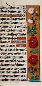 Ms. 1058-1975, f.120r: detalje af en blomsterkant fra en Timebog, ca. 1500 (vellum) af Flemish School