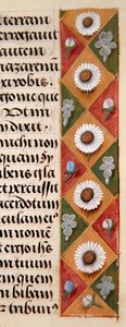 Ms. 1058-1975, f.16r: detalje af en blomsterkant fra en timebog, ca. 1500 (vellum) af Flemish School