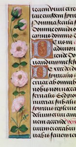 Ms. 1058-1975, f.34v: detalje af en blomsterkant fra en Timebog, ca. 1500 af Flemish School
