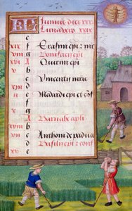 Ms 1058-1975 f6r Slåning af græs, illumineret kalenderblad for juni, fra en timebog, ca. 1500 (pergament) af Flemish School