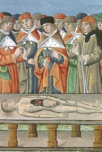Ms Hunter 9 f.36r Dissection, fra De Medina Fen I. II, af Avicenna (980-1037) af Flemish School