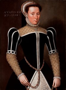 Portræt af en kvinde, 1556 af Flemish School