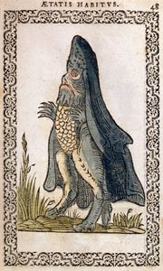 Havbiskoppen eller søuhyret, illustration fra The Habits and Portraits of Almost All Nations and Contemporary Nations af Jean Sluperji, Antwerpen, 1572 (farvet træsnit) af Flemish School