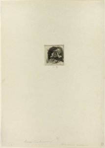 Flamsk markedsgartner af Félicien Rops