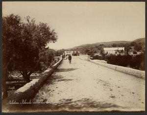 Palæstina - Kolonick, Terebinth-dalen af Félix Bonfils