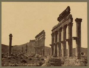 En del af den store søjlegang, Qalaat Ibn Maan Slot i det fjerne, Palmyra, ca. 1875 (albumin print) af Félix Bonfils