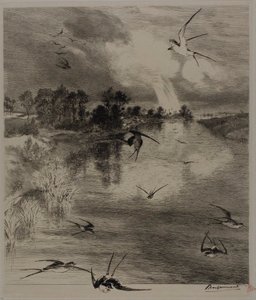 Svaler