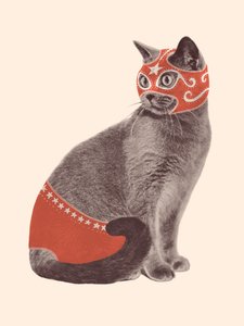 Kattebryder
