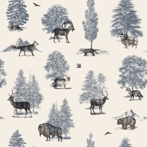Hvor de hører hjemme - Vinter af Florent Bodart