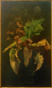 Anemoner og blade af Floris Verster