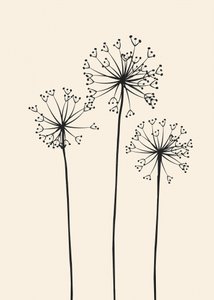 Minimalistiske mælkebøtteblomster af Flow Line