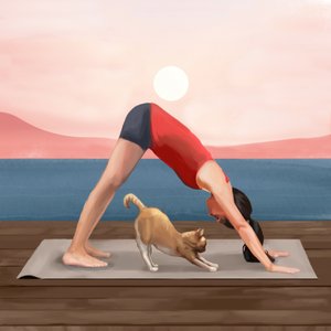 Solopgangs-yoga-kat