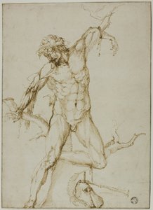 Marsyas bundet til et træ af Follower of Baccio Bandinelli
