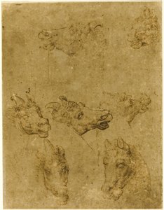 Hoveder af heste og enhjørninger af Follower of Leonardo da Vinci