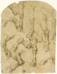 Skitser af hestes (eller dromedarers) ben (recto); søjler (verso) af Follower of Leonardo da Vinci