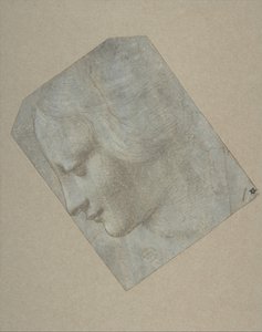 Hovedet af en kvinde i profil vendt mod venstre, 1490-1500. af Follower of Leonardo da Vinci.