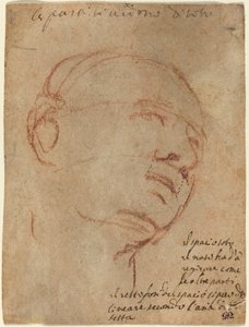 Hoved af en mand af Follower of Michelangelo