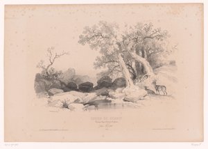 Klippelandskab med vand og to hjorte Tegnekursus med studier af landskaber, dyr og detaljer (serietitel) Kursus designet. Paysages, figurer, animaux, tilbehør, af Férogio (serietitel på objekt)