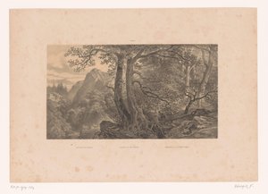 To jægere i en skov i Pyrenæerne Jagt i Pyrenæerne / Jagdparthie i Pyrenaën / Cazadores de los Pirinéos (España) (titel på objekt) Tall i et landskab (serietitel) af Fortuné Ferogio