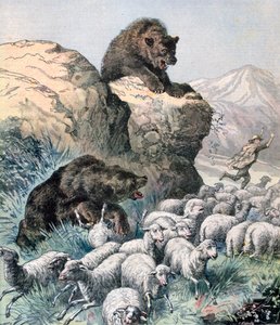 Bears of the Cagyre, 1891. af Fortuné Méaulle
